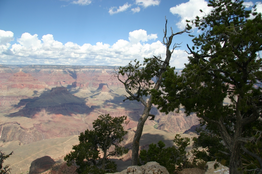 15 - Grand Canyon (12).JPG